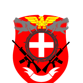 PRO_ASSAULT123's emblem