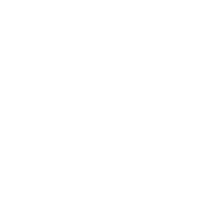 J2H Snake's emblem