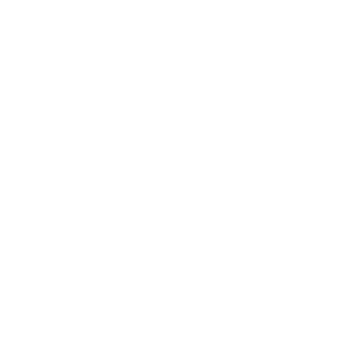 gordonpizdets's emblem
