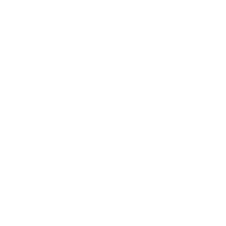 shinobu404th's emblem