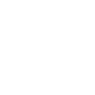6T_REX6's emblem