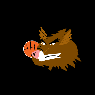 roane2k16's emblem