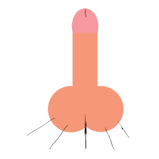 Noli-nocere1's emblem