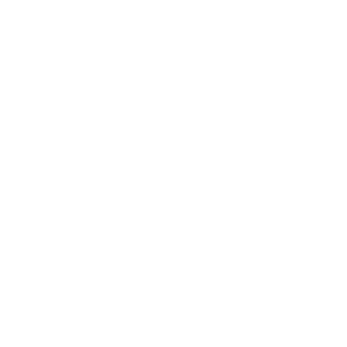 PR0T0PLASTA's emblem