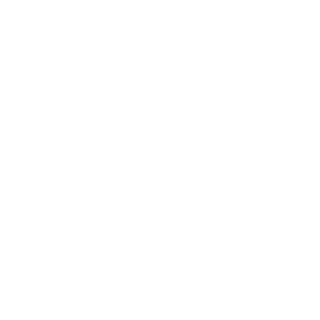 Charmlessfox999's emblem