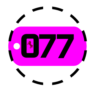nico077's emblem