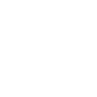 MetroAirDefense's emblem