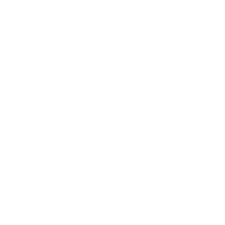 Pyi10's emblem