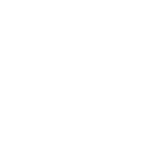 LBBS-TRAUMA's emblem