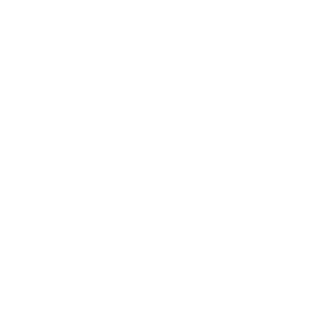 SoulReaverRyd's emblem