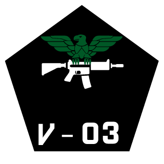 Braunbear66's emblem