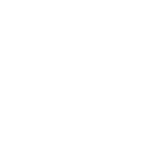 240snus-IT's emblem