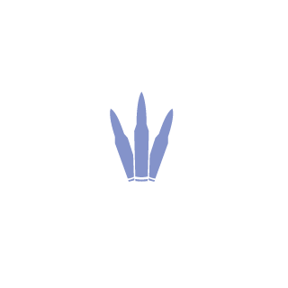 Aviafan's emblem