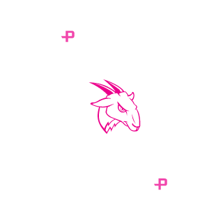 LeBOOM23's emblem