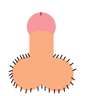 ScarHEnjoyer's emblem