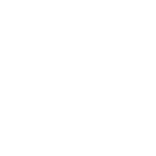 ZebraNinjaMT's emblem