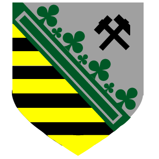 Defender_31's emblem