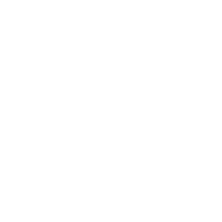 TopTeam1018's emblem