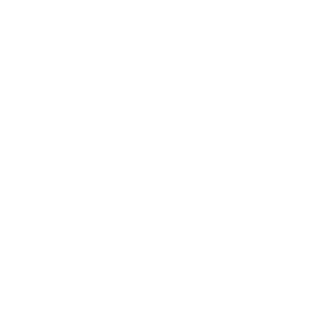 relancir's emblem