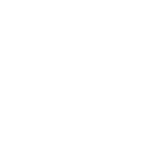 -9-Scarlette-9-'s emblem