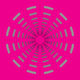 snugglsaccounant's emblem