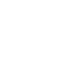 ho1okost's emblem