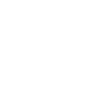 DanniBee's emblem