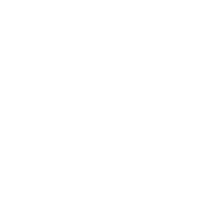 I DRAKON's emblem