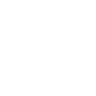 Lotnik12345's emblem
