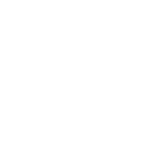 HannibalHZ's emblem
