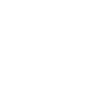 Destroyer888's emblem