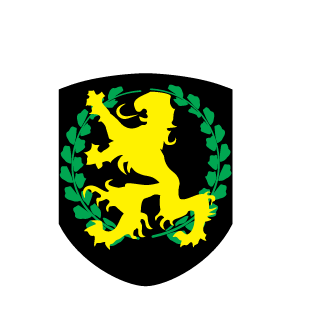 CamoMan1965's emblem