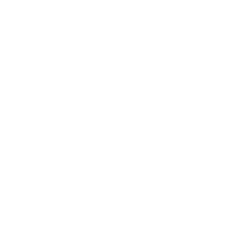 SchiochetL's emblem