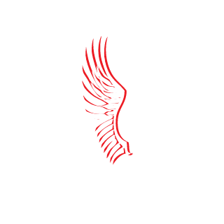 BoaUdusiciel's emblem