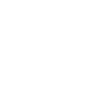 95533cxy's emblem