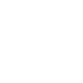 Sanchy_BR's emblem
