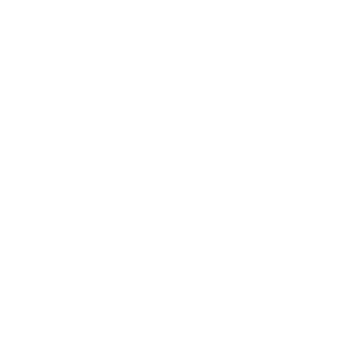 Zenoslav17's emblem
