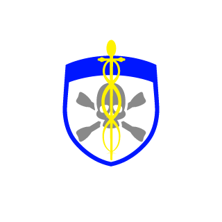 BiroliroAssasino's emblem