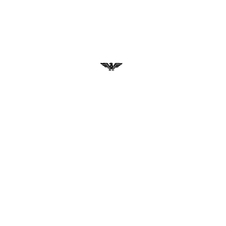 2viking2's emblem