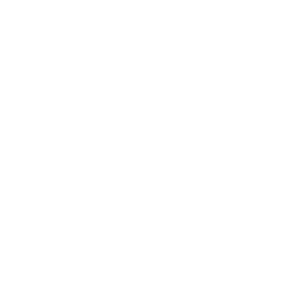 Focoso123's emblem