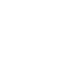 adnan2134's emblem