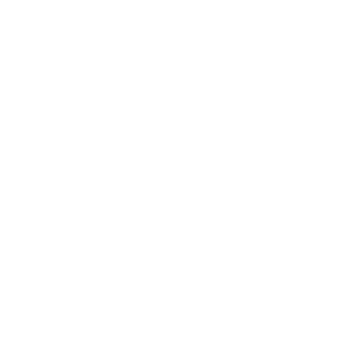 SwegBusterr's emblem