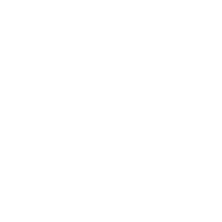 soba161RUS's emblem
