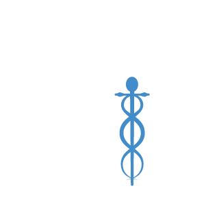 masmix20090's emblem