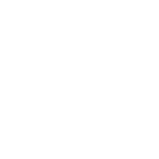 Hons2203's emblem