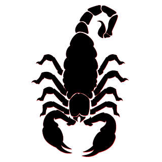 Velzm's emblem