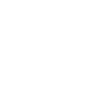 editp1R's emblem