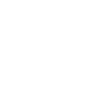 anakjokowi's emblem