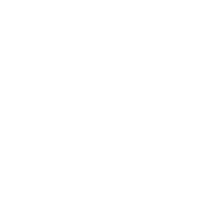 HOLLYWOOD156's emblem