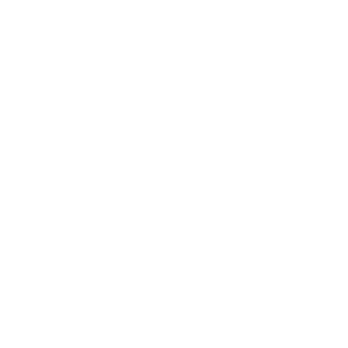 MjSilvis's emblem